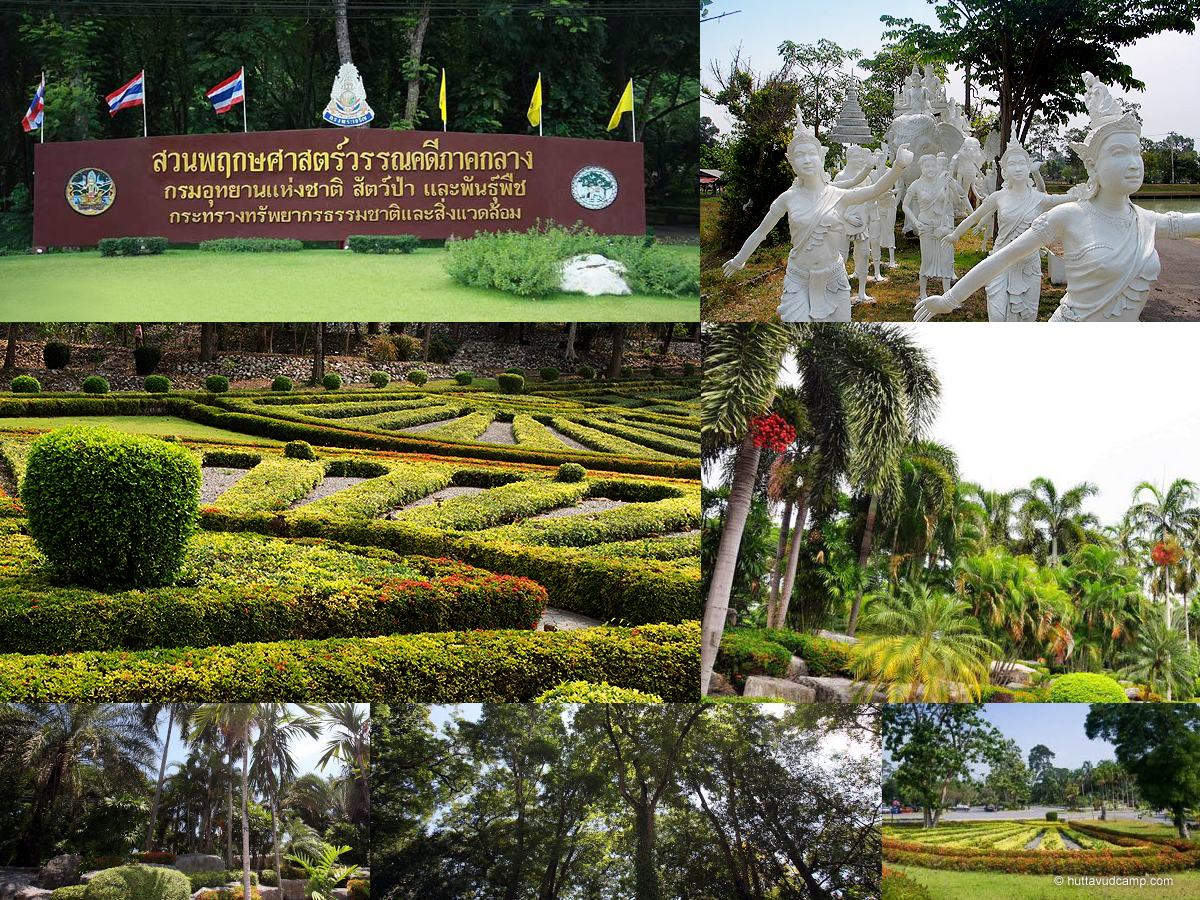 สวนพฤกษศาสตร์ภาคกลาง (พุแค)